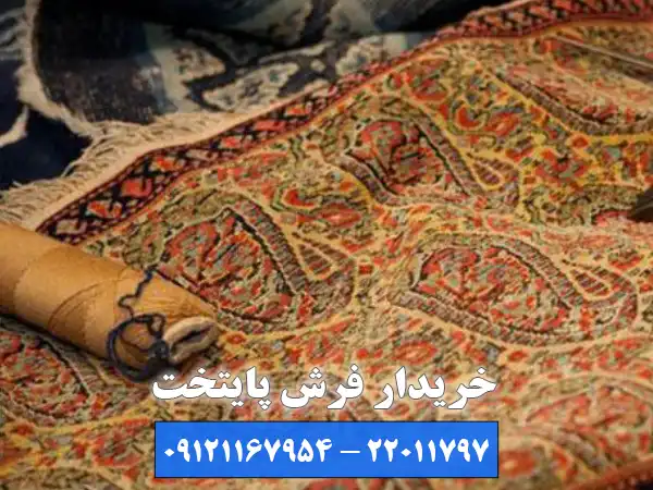 خدمات رسانی به کل تهران