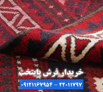 خریدار فرش در آریاشهر